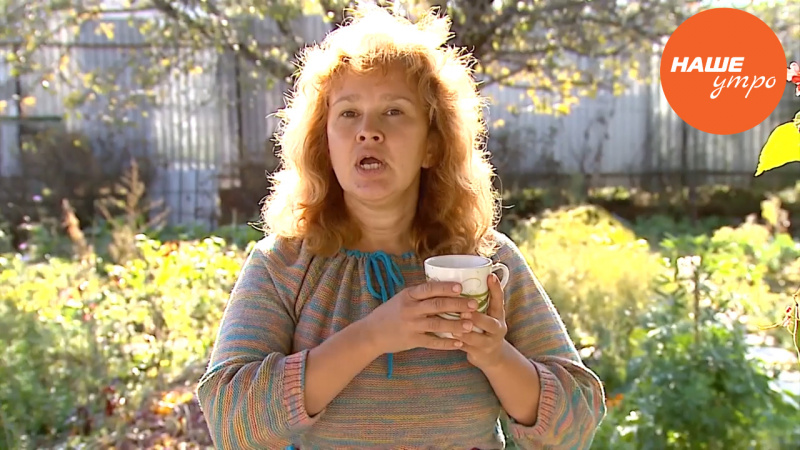 Как правильно заваривать лекарственные травы