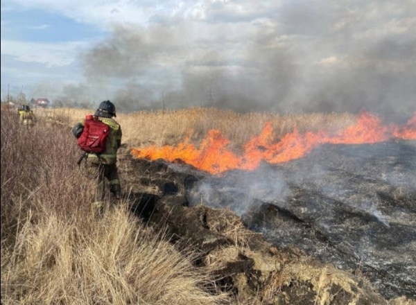 Результат небрежности человека: ландшафтные пожары на Южном Урале начались раньше обычного