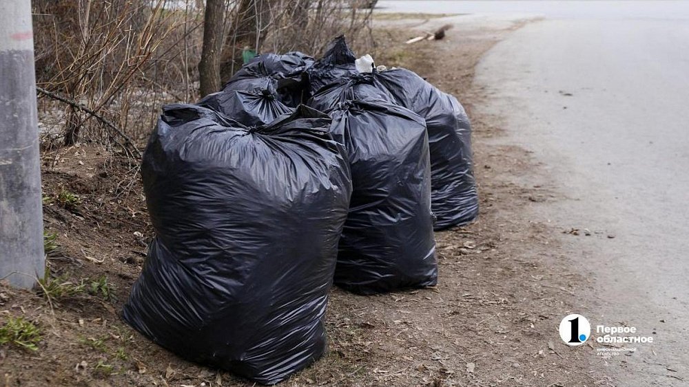 Челябинцев пригласили выйти на субботники