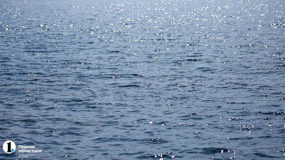 В «лечении» челябинского водохранилища от сине-зеленых водорослей помогут толстолобик и белый амур