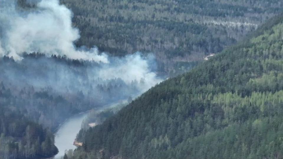 Площадь пожара в нацпарке «Зигальга» увеличилась до 140 гектаров