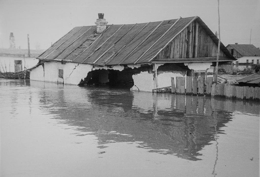 19572.jpg