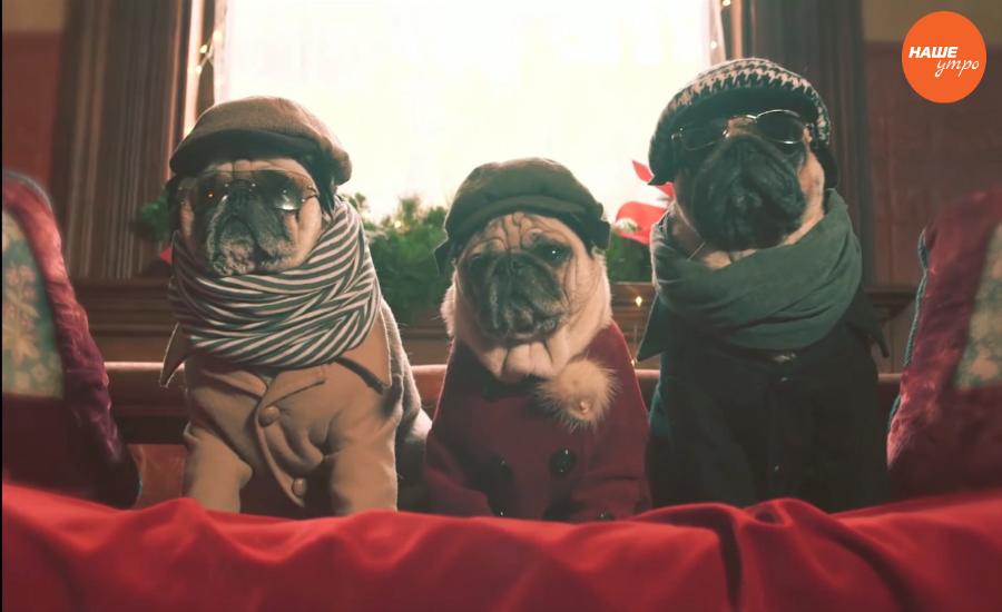 Обзор интернета за 13 декабря