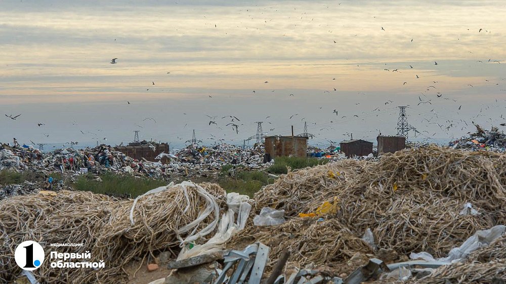 Челябинские депутаты проверят расчистку несанкционированных свалок в регионе