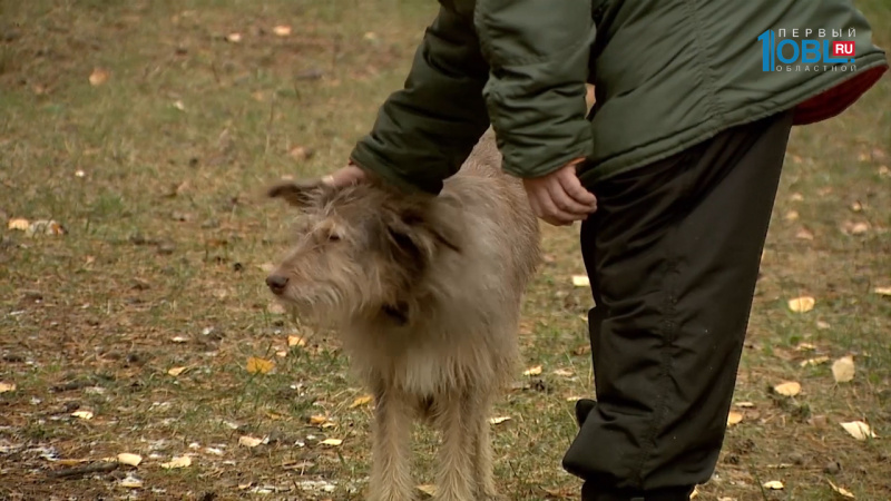 уютный дом 22.10.2016