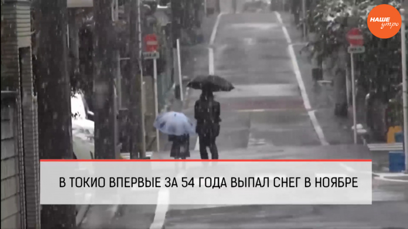 Обзор интернета за 28 ноября