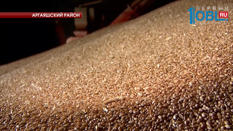 Южноуральское зерно начнут экспортировать в Китай