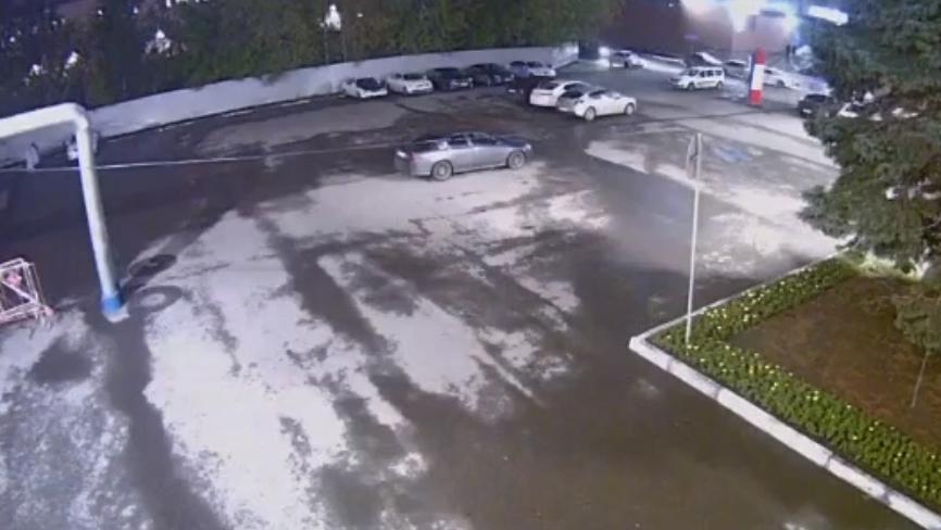 Появилось видео нападения собак на Nissan в Челябинске