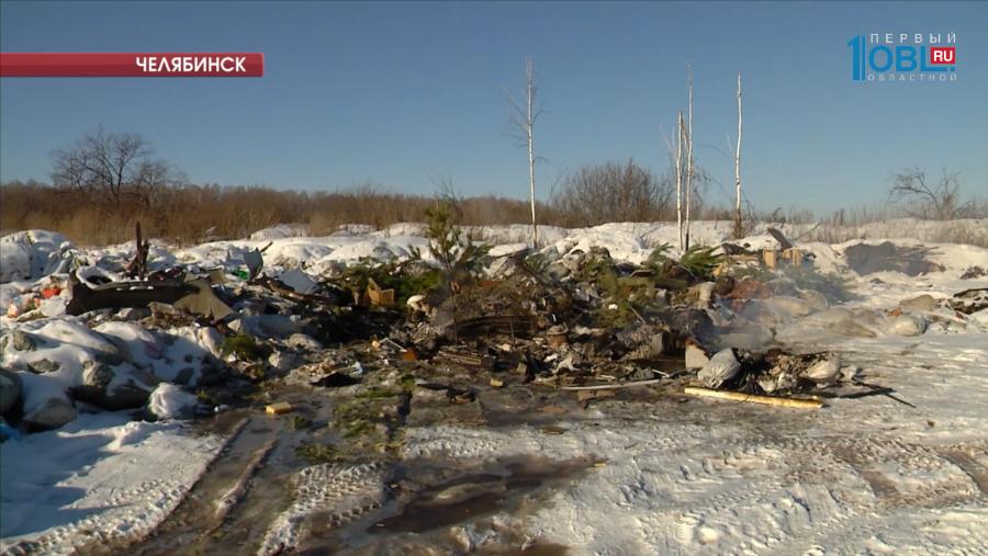 Активисты предлагают ряд инициатив по улучшению экологии в регионе 