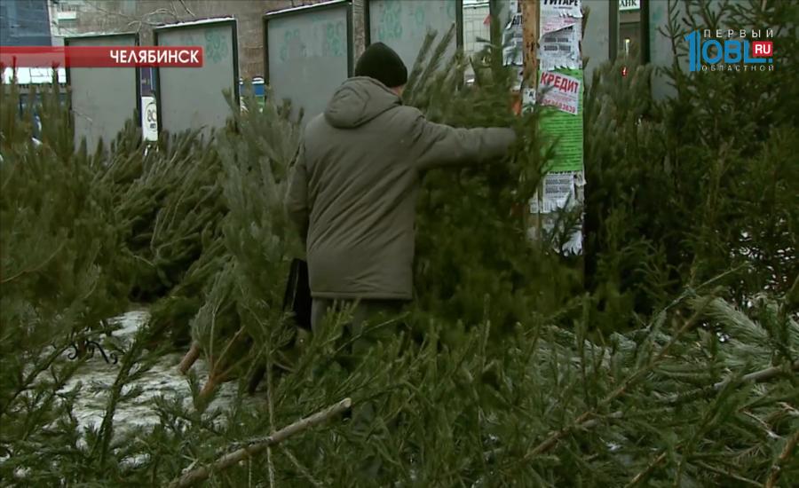 У продавцов елочных базаров проверяют документы на деревья