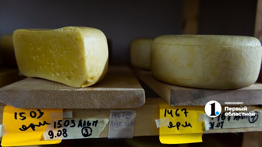 Челябинские сыры заменили импортные аналоги в ресторанах Урала