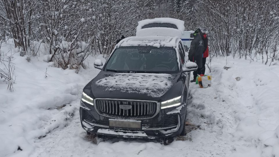 На Южном Урале семья с детьми застряла ночью в лесу в автомобиле