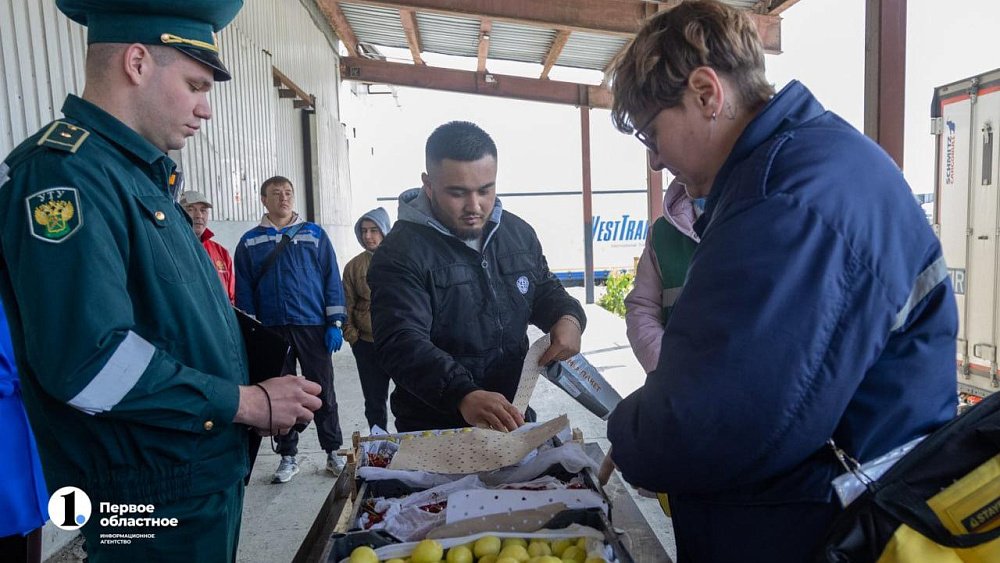 В Челябинскую область не пустили 2 тысячи тонн овощей и фруктов без документов