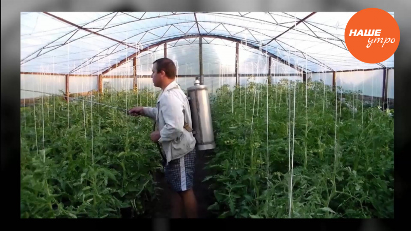 Готовим теплицу к зиме