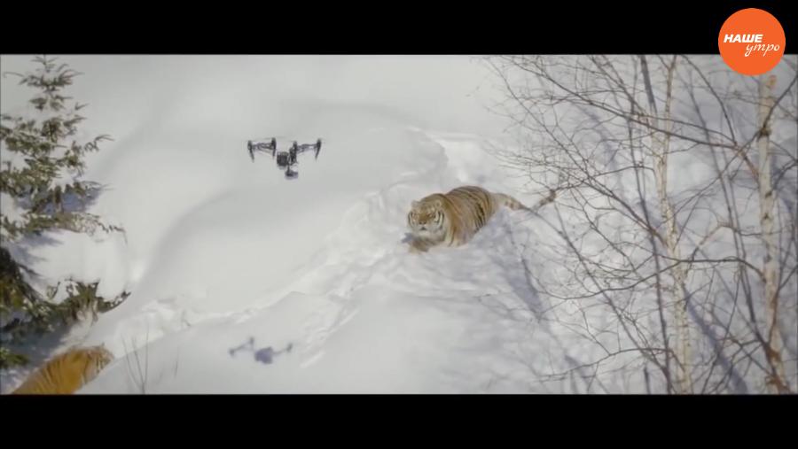 Обзор интернета за 21 декабря