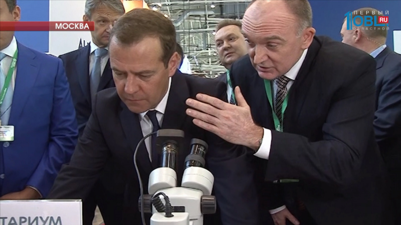 Борис Дубровский представил Медведеву проект биофабрики на выставке "Золотая осень"