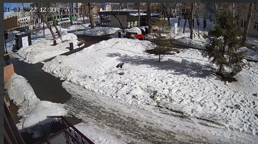 Появилось видео кражи красного холодильника для обмена книгами в центре Челябинска