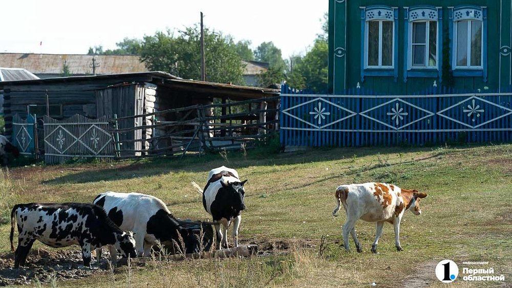 Фермеры смогут строить жилые дома на землях сельхозназначения
