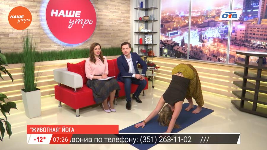 "Животная" йога