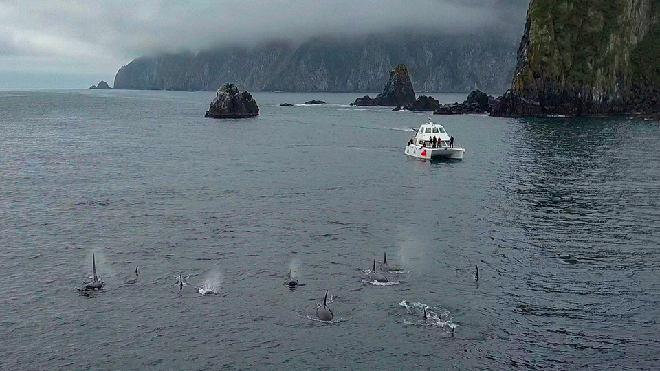 Журналисты Челябинской области поборются за путешествие на Камчатку