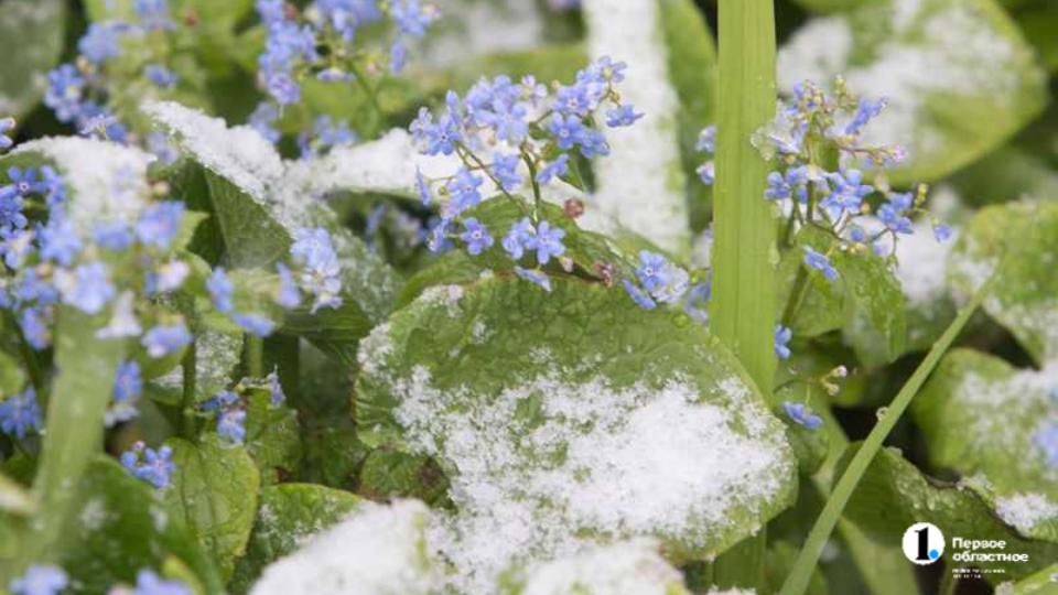 Мокрый снег пройдет на западе Челябинской области в последние выходные апреля