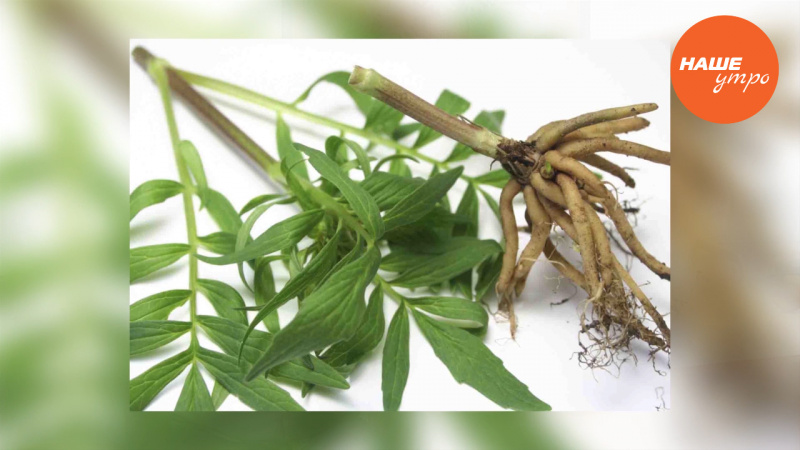 Секреты стройной фигуры.