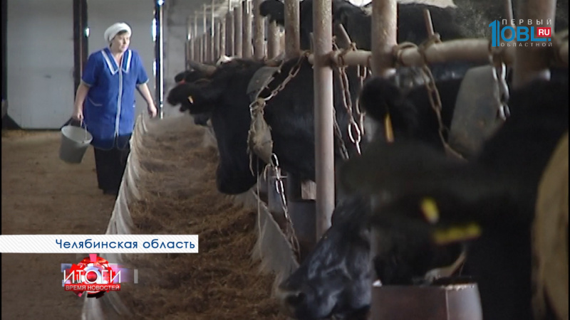 ПОДОРОЖАЛИ МОЛОЧНЫЕ ПРОДУКТЫ 