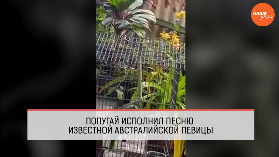 Обзор интернета за 2 декабря