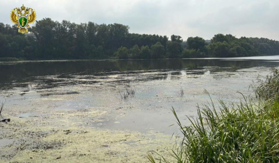 На реке Миасс в центре Челябинска появилось маслянистое пятно