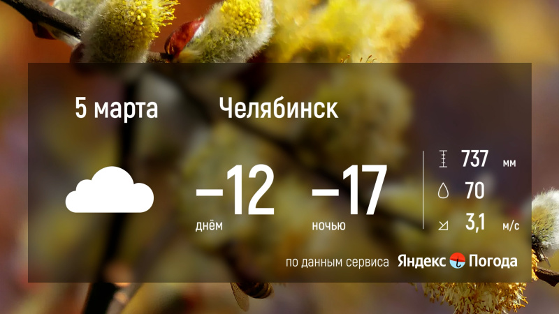 5 марта в Челябинской области прогнозируют снег и гололедицу