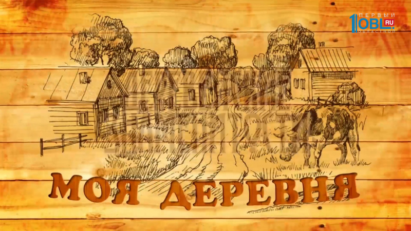 Моя деревня. Кичигино 23.10.2016