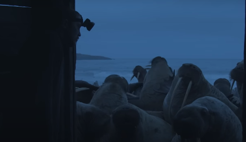 Российский фильм попал в номинанты на «Оскар»