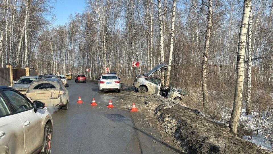 Под Челябинском водитель Ford съехала в кювет и врезалась в дерево