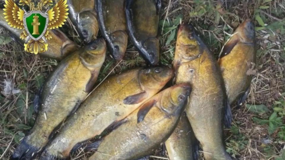 Браконьер из Кыштыма заплатит государству за 58 убитых линей