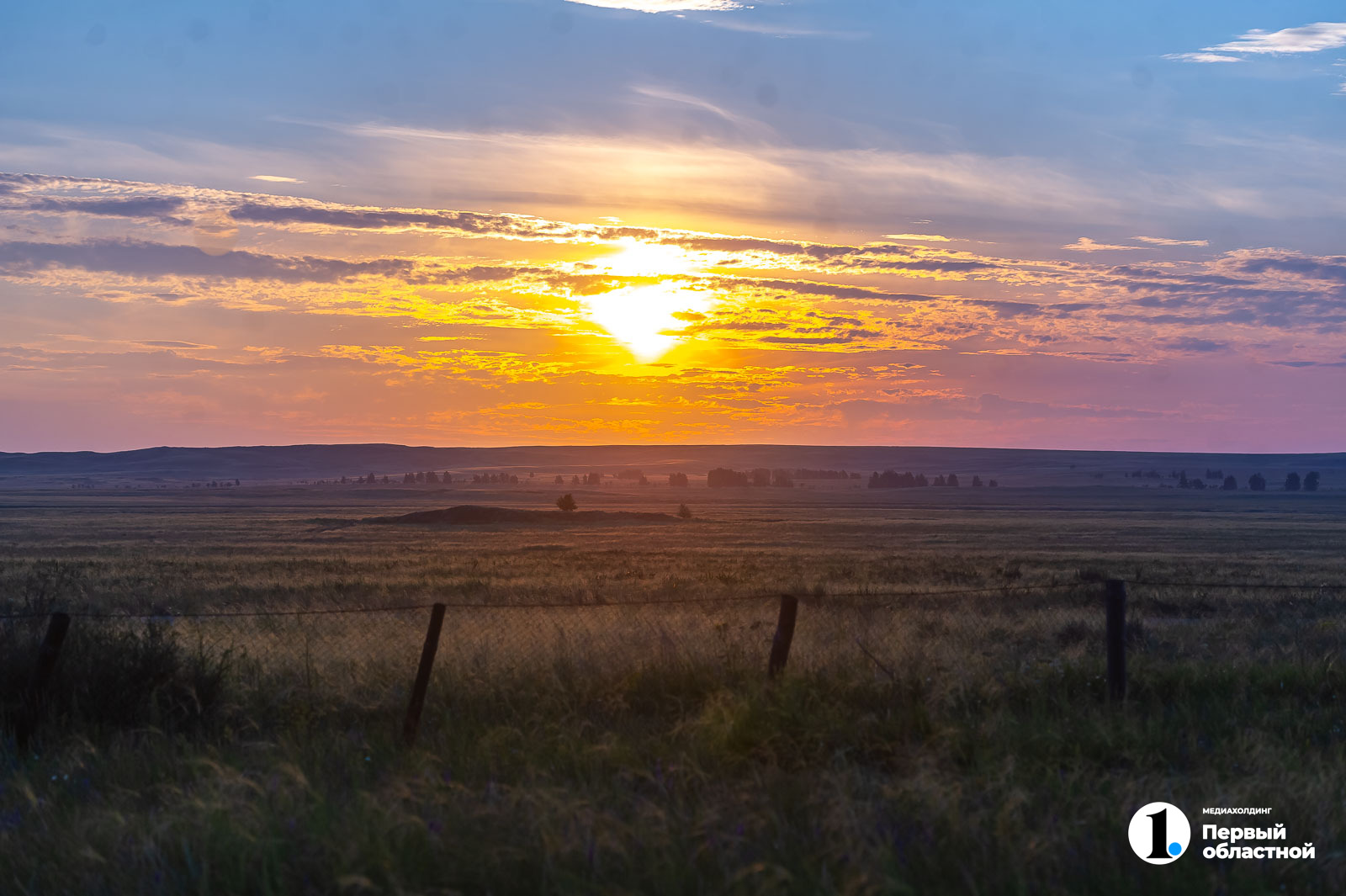 DSC_9955.jpg