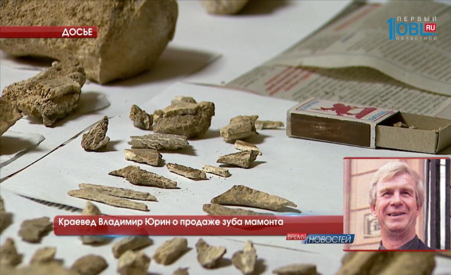 Краевед Владимир Юрин о продаже зуба мамонта