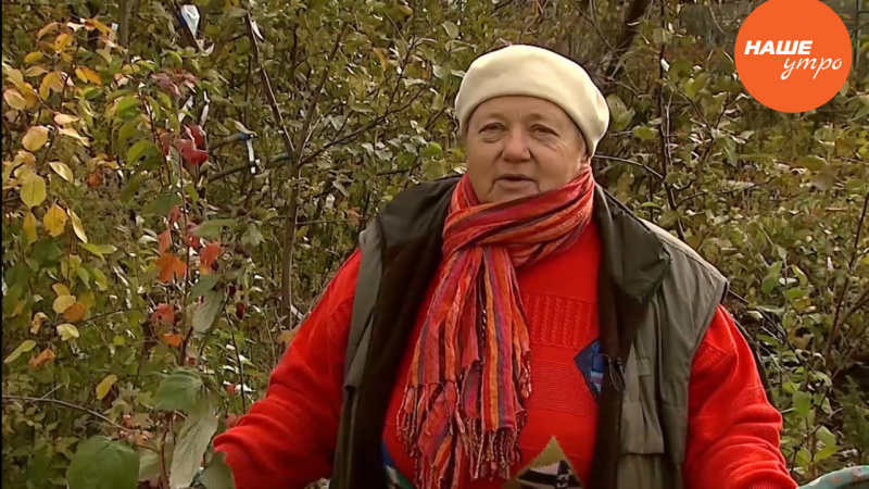 Капустный салат на вашем подоконнике