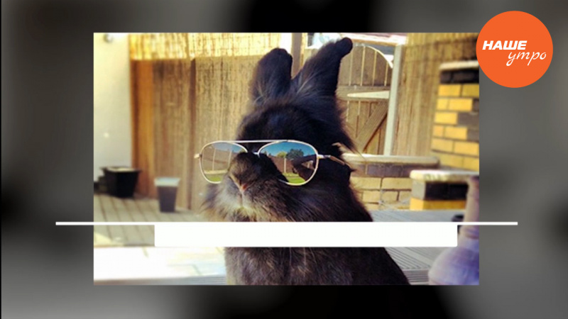 Самое интересное на просторах интернета за 8 ноября