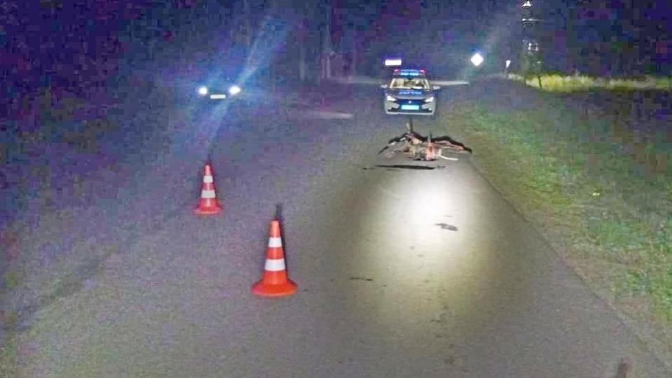 Под Челябинском 12‑летний мотоциклист сбил двух подростков