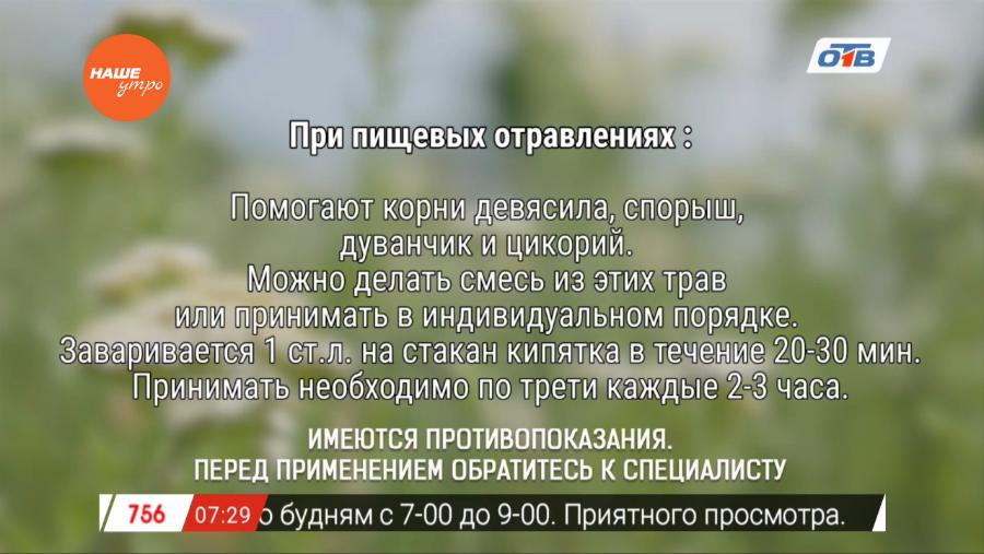 Наше УТРО на ОТВ – травница о пищевых отравлениях