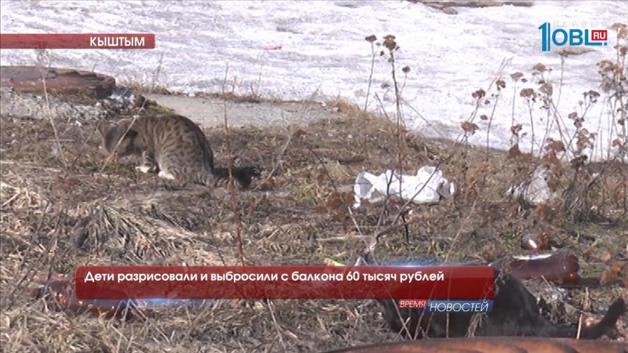 Дети разрисовали и выбросили с балкона 60 тысяч рублей