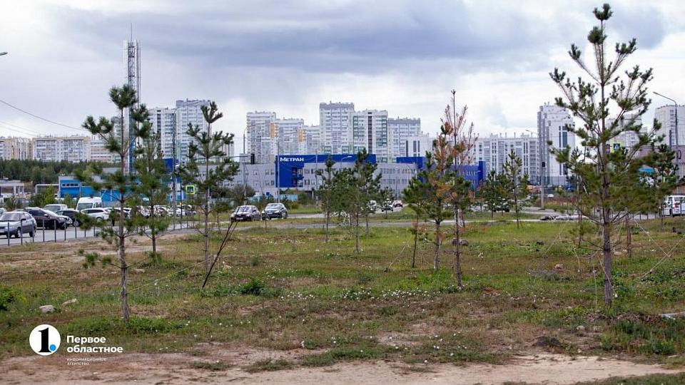 В Челябинске высадили более семи тысяч деревьев с начала 2022 года