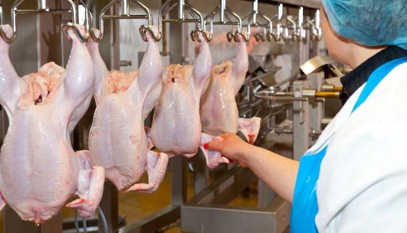 Между Казахстаном и Россией возобновили поставки куриного мяса