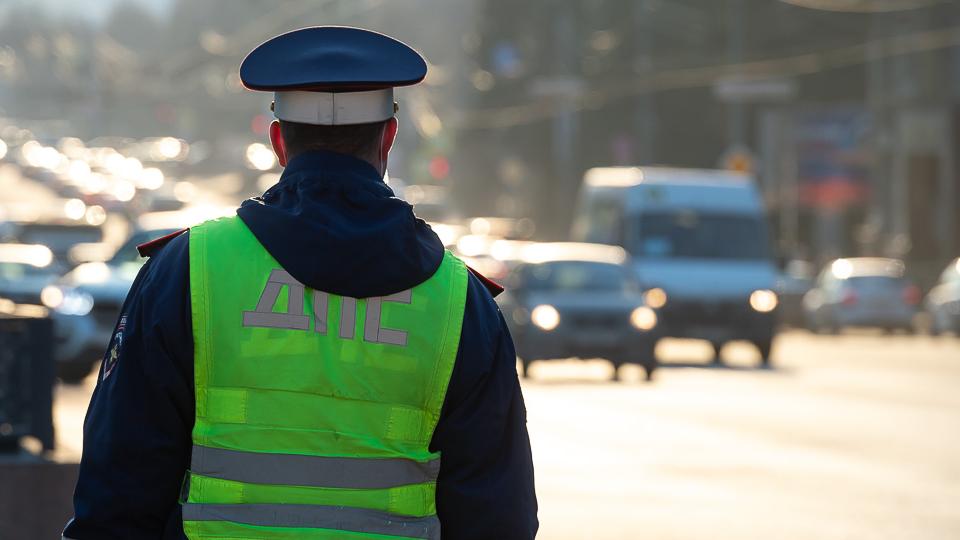 Под Челябинском задержали двух браконьеров, перевозивших туши шести косуль