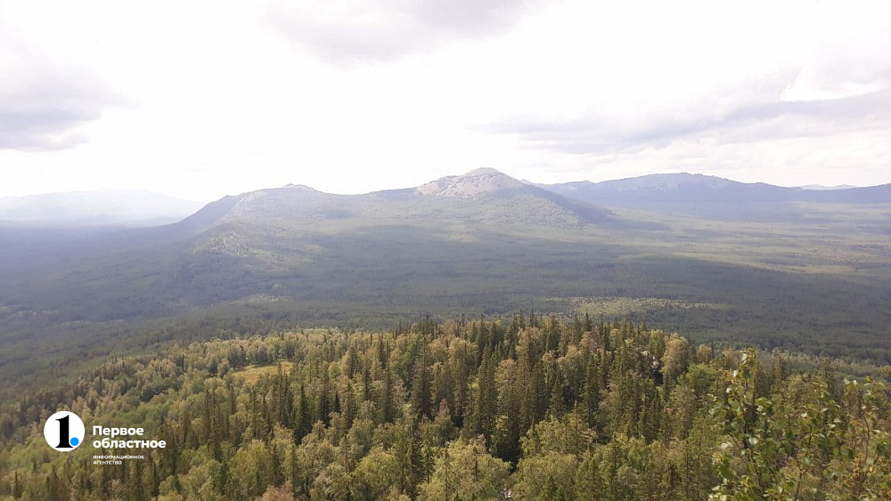 40 экологических троп обустроят в Челябинской области