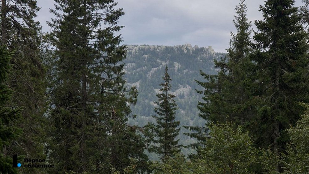Вокруг Челябинска утвердили границы зеленого пояса