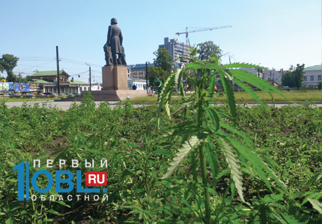 ефимов о марихуане