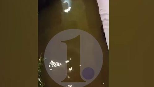 После ливня в Челябинске затопило частный сектор и дворы