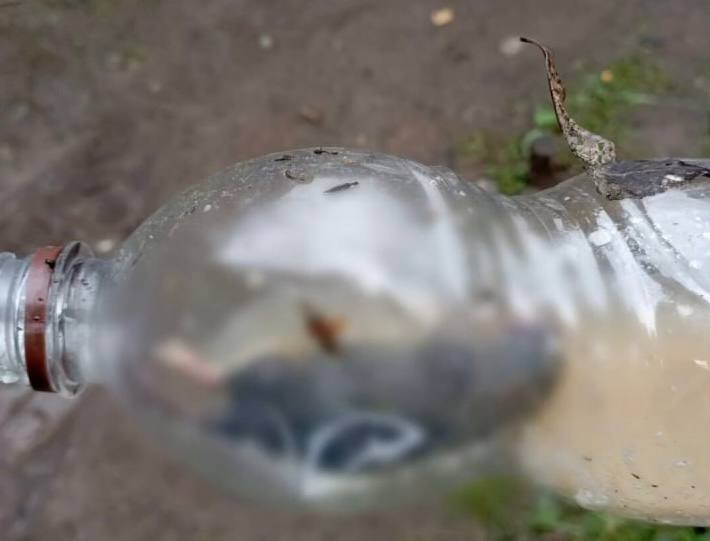 Из‑за халатности туристов на Таганае погиб зверек