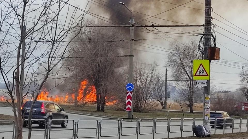 В Челябинске на берегу озера Смолино загорелся камыш